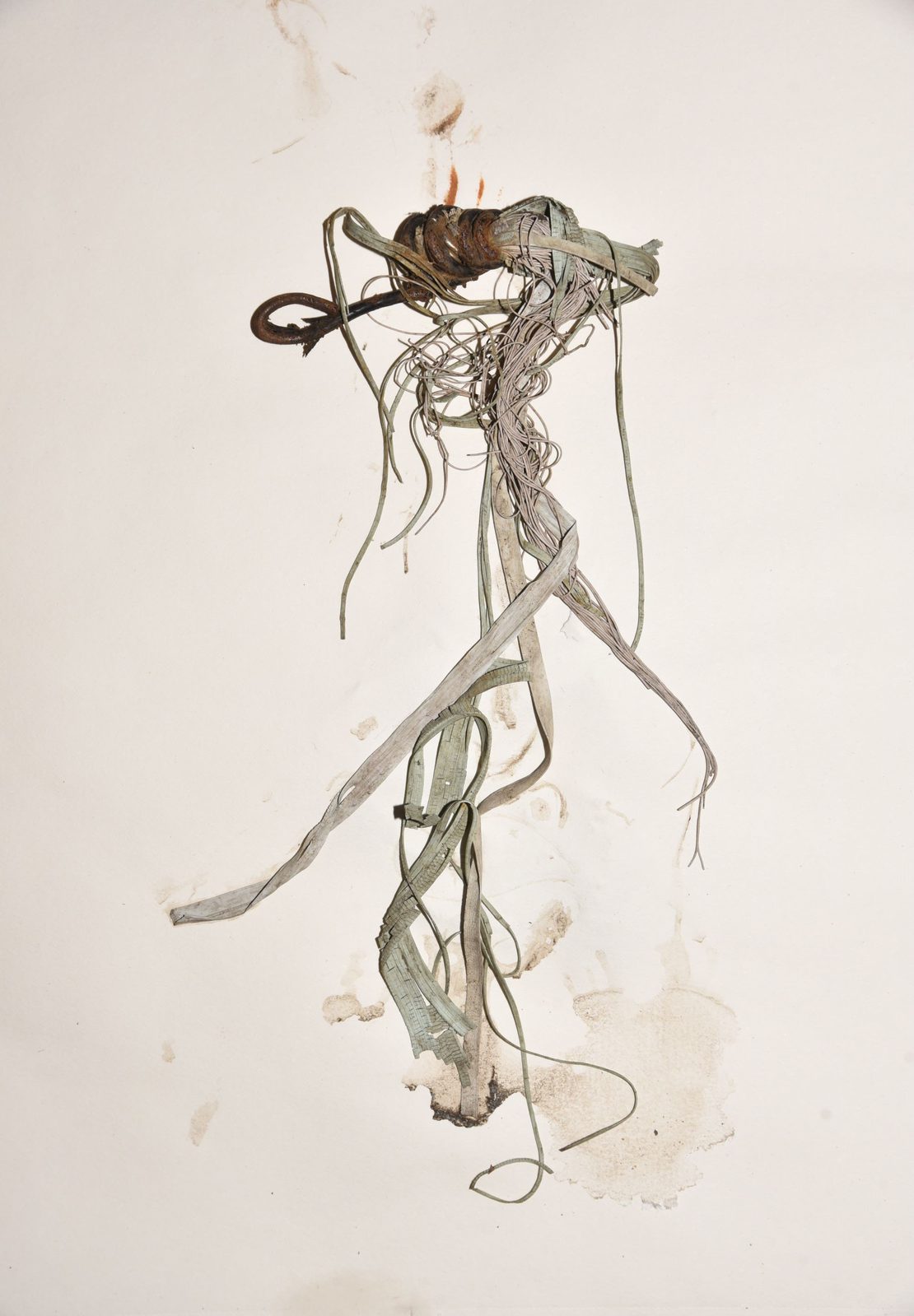 rotterdam poster collection